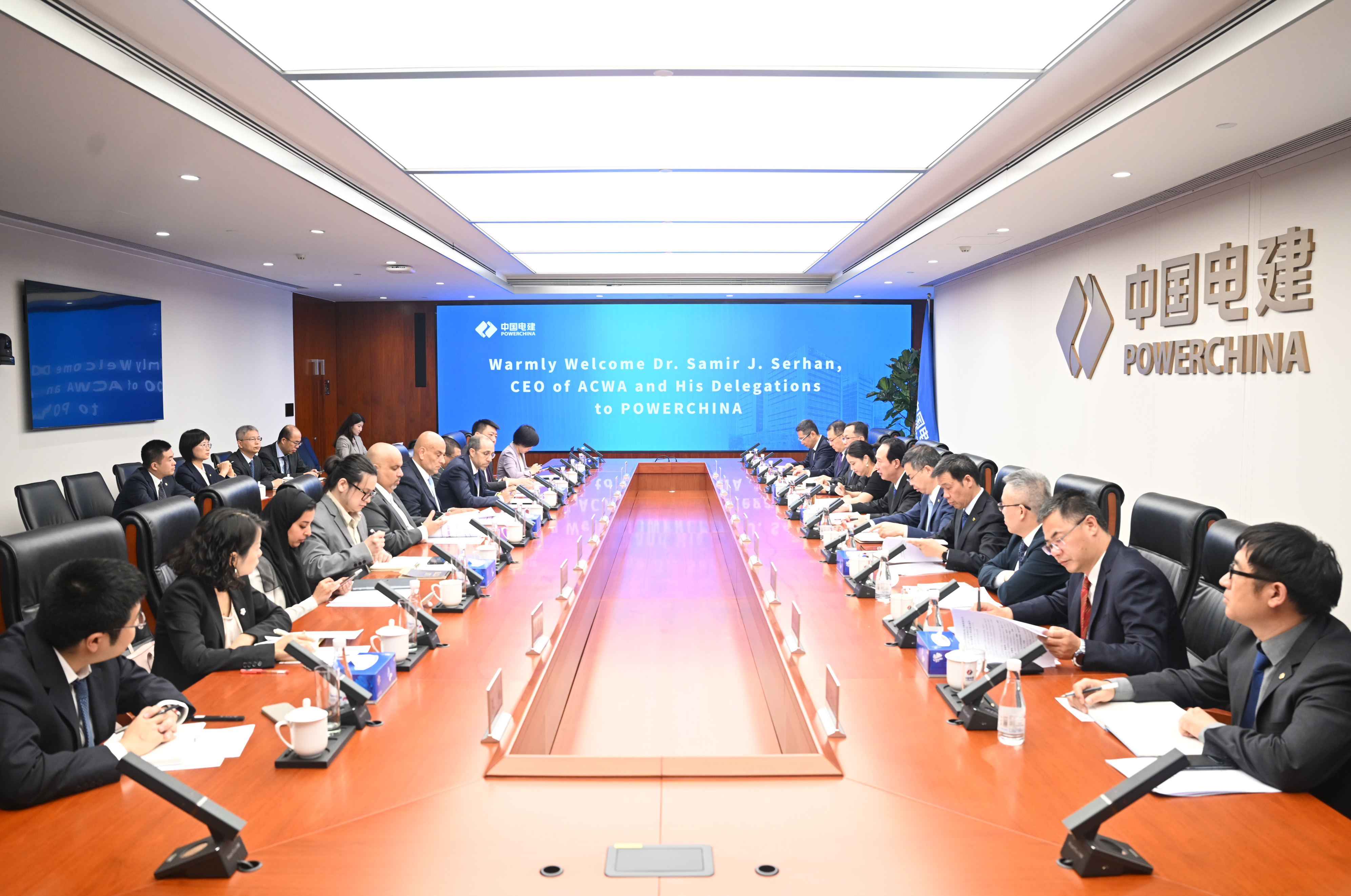 丁焰章与沙特国际电力和水务公司首席执行官塞尔翰会谈